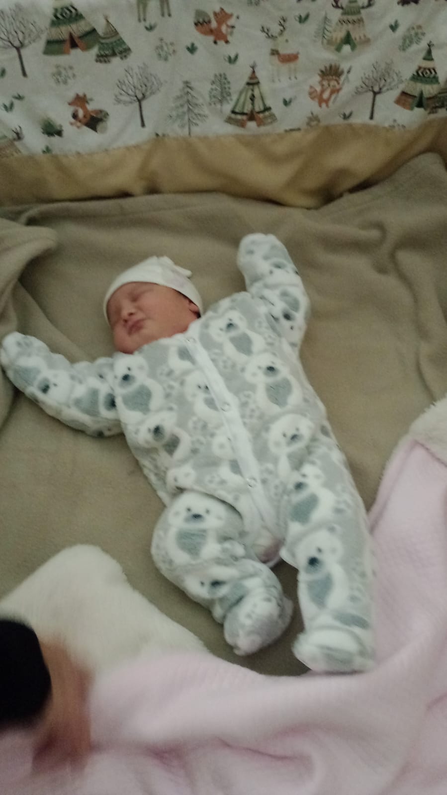 WhatsApp Image 2024-08-05 at 15.50.59.jpeg